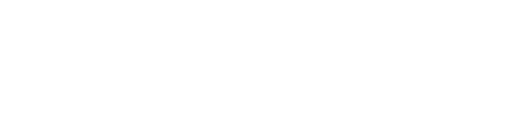 FIEMG